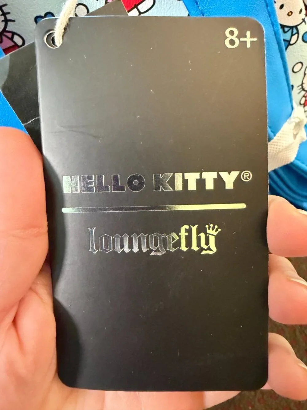 Loungefly 💙 matched